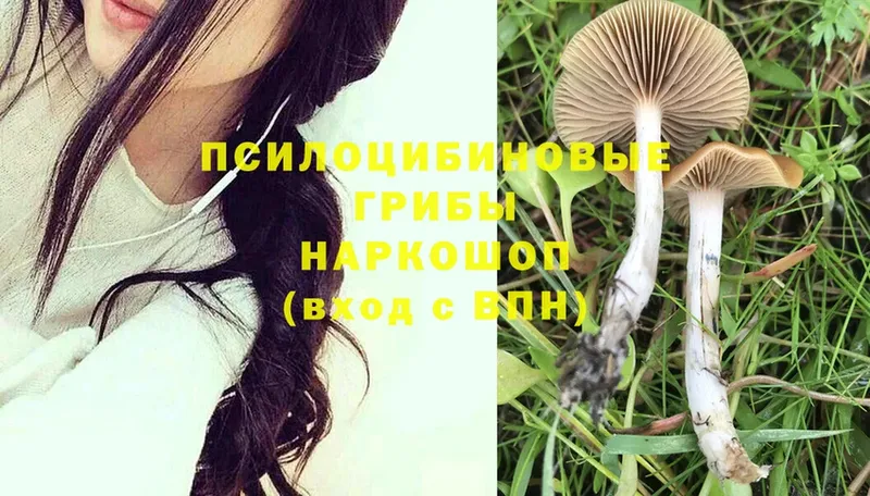 кракен tor  Ельня  Галлюциногенные грибы MAGIC MUSHROOMS  где продают наркотики 